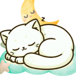 ユメの凸凹ルーム