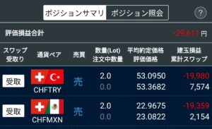 FX評価損益