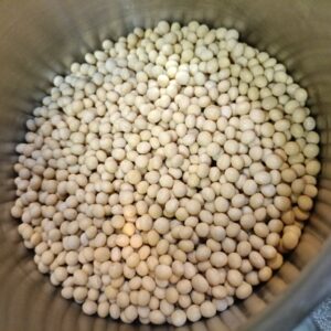 洗う前の乾燥大豆