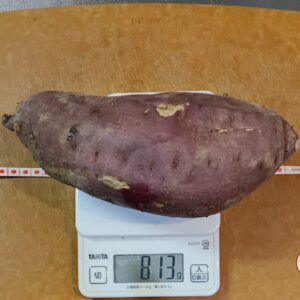 リンゴとサツマイモの煮つぶしサツマイモ