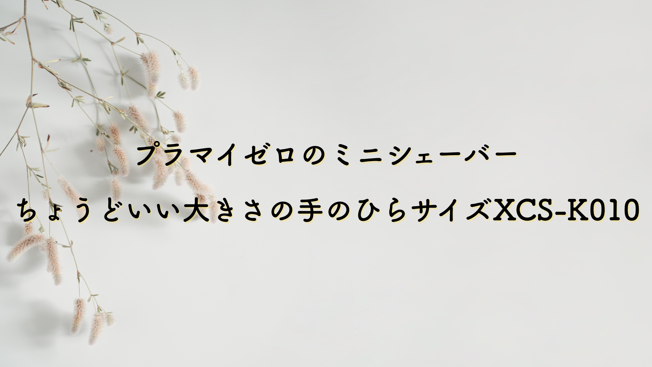 プラマイゼロのミニシェーバーXCS-K010